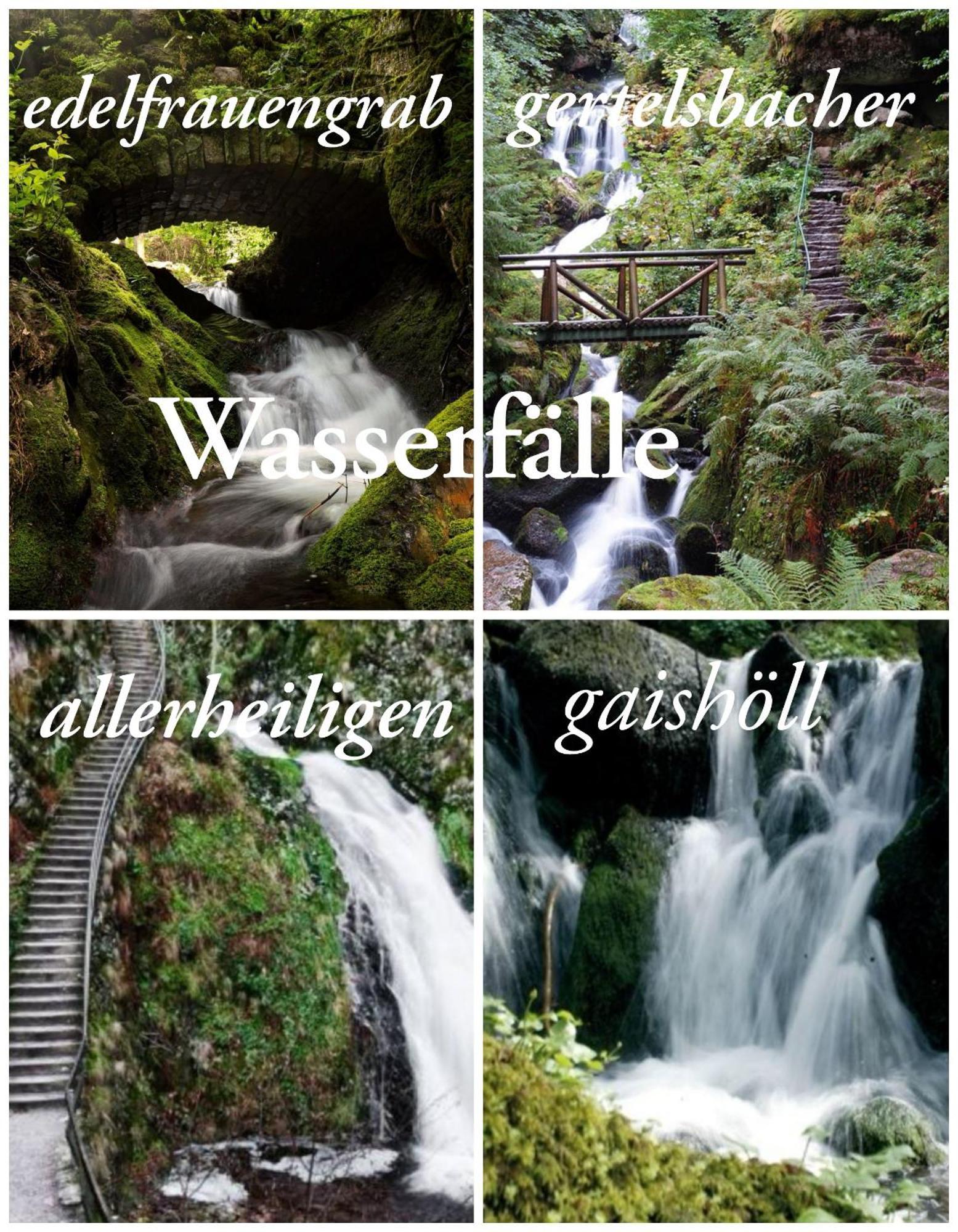 Gaishoell-Wasserfaelle Apartment Schwarzwald Засбахвальден Экстерьер фото