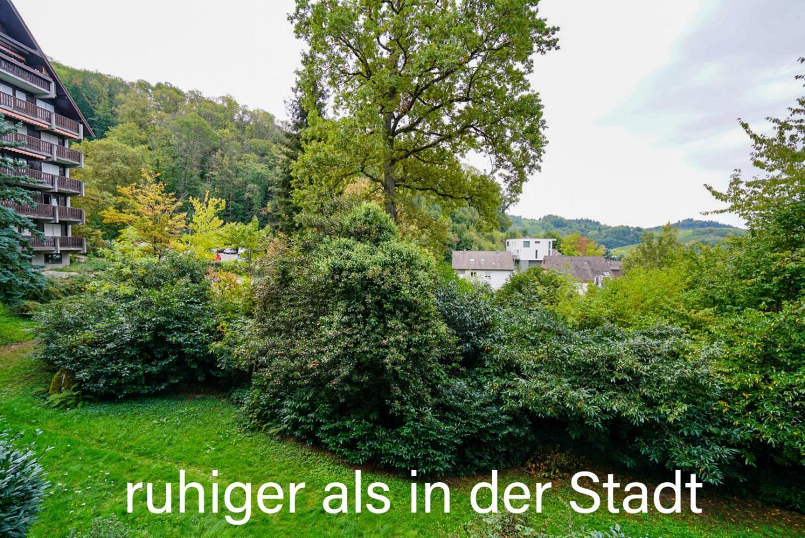 Gaishoell-Wasserfaelle Apartment Schwarzwald Засбахвальден Экстерьер фото